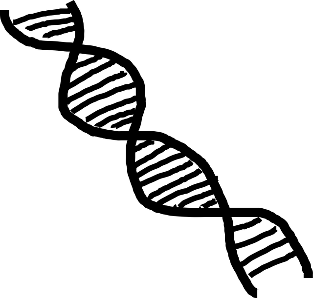 LIPOPHARMA THERAPEUTICS SL