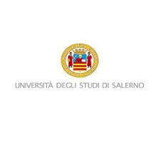 UNIVERSITA DEGLI STUDI DI SALERNO 
